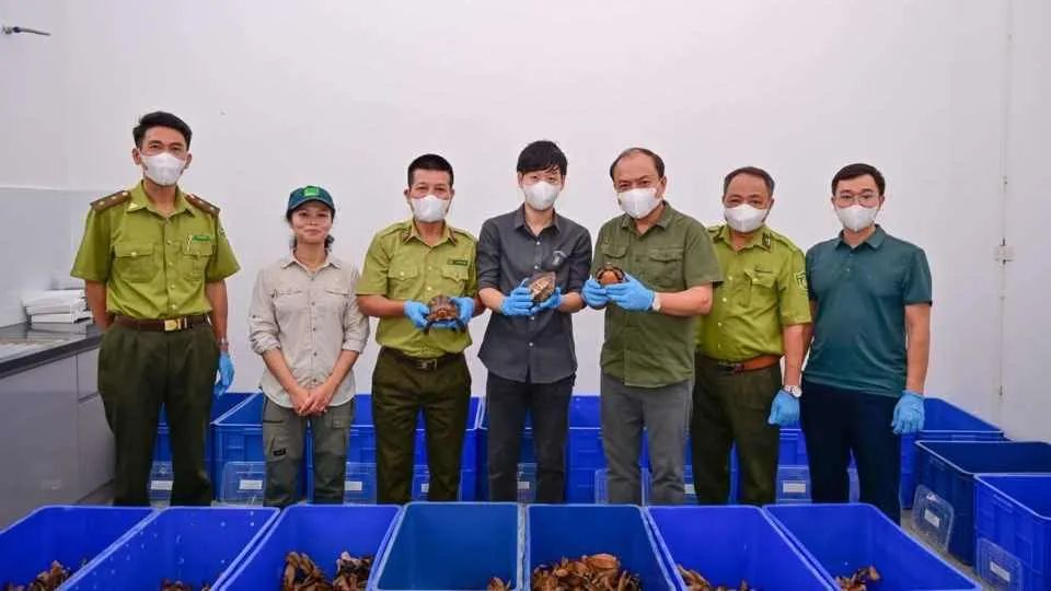 Đại diện Vườn quốc gia Cúc Phương và cán bộ kiểm lâm tiếp nhận các cá thể rùa quý hiếm. Ảnh: CỤC LÂM NGHIỆP VÀ KIỂM LÂM