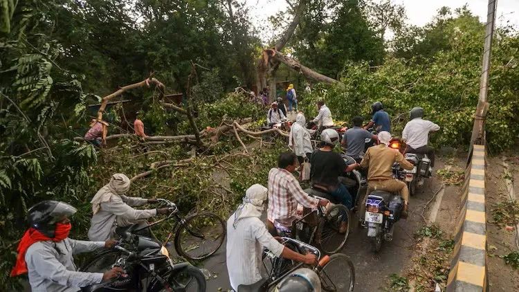 Cây đổ do dông bão tại bang Uttar Pradesh. Ảnh: INDIA TODAY Cây đổ do dông bão tại bang Uttar Pradesh. Ảnh: INDIA TODAY