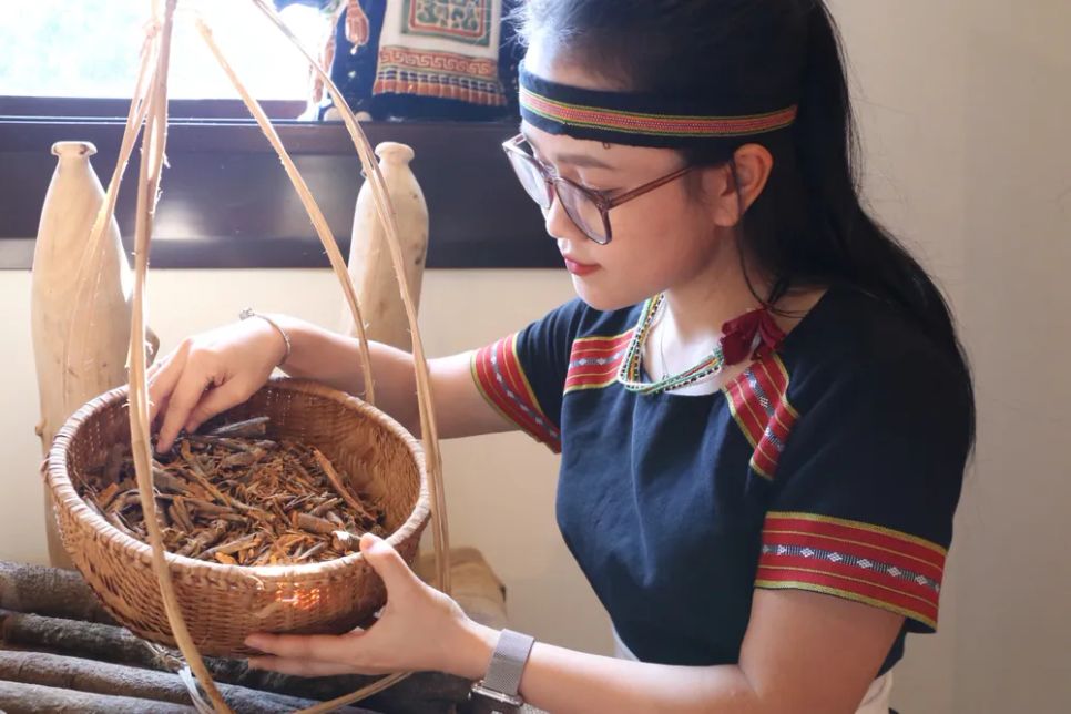 Quế Trà My từ lâu nổi tiếng là một trong những loại quế có chất lượng hàng đầu Việt Nam <br>