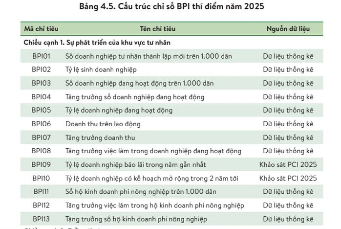 Các chỉ tiêu để đánh giá Chỉ số hiệu quả kinh tế tư nhân