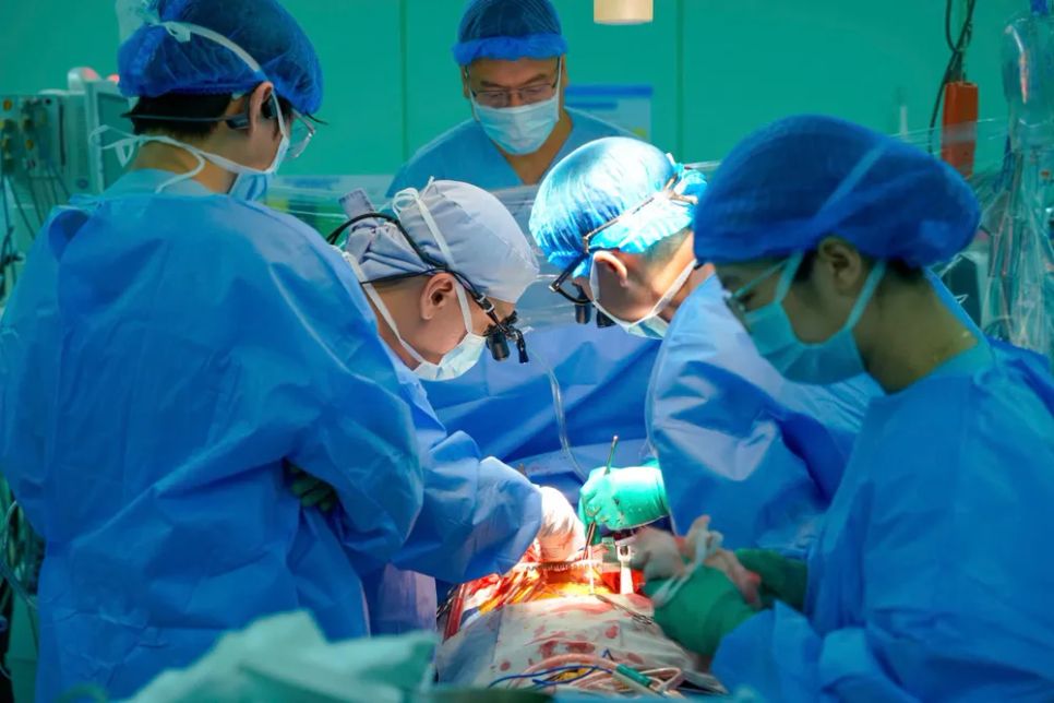 Các bác sĩ phẫu thuật ghép tim cho bệnh nhi