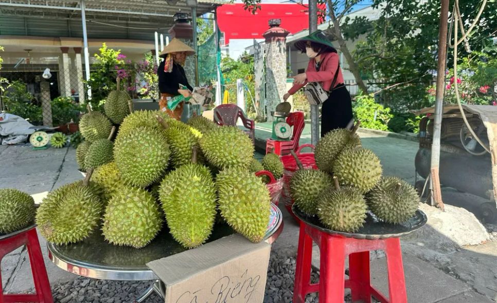 <i>Sầu riêng được bày bán tràn lan trên các tuyến đường ở tỉnh Đồng Tháp - Ảnh: Bùi Nguyên</i>