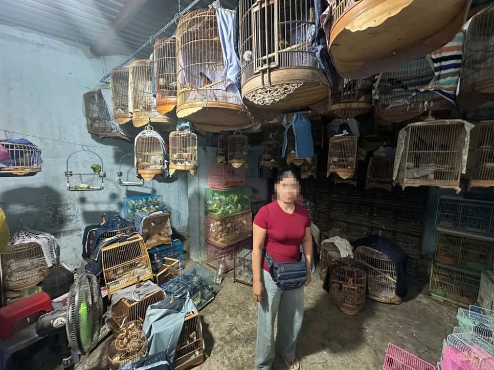 Cơ sở nuôi chim hoang dã của bà Trương Thị Kim Hà