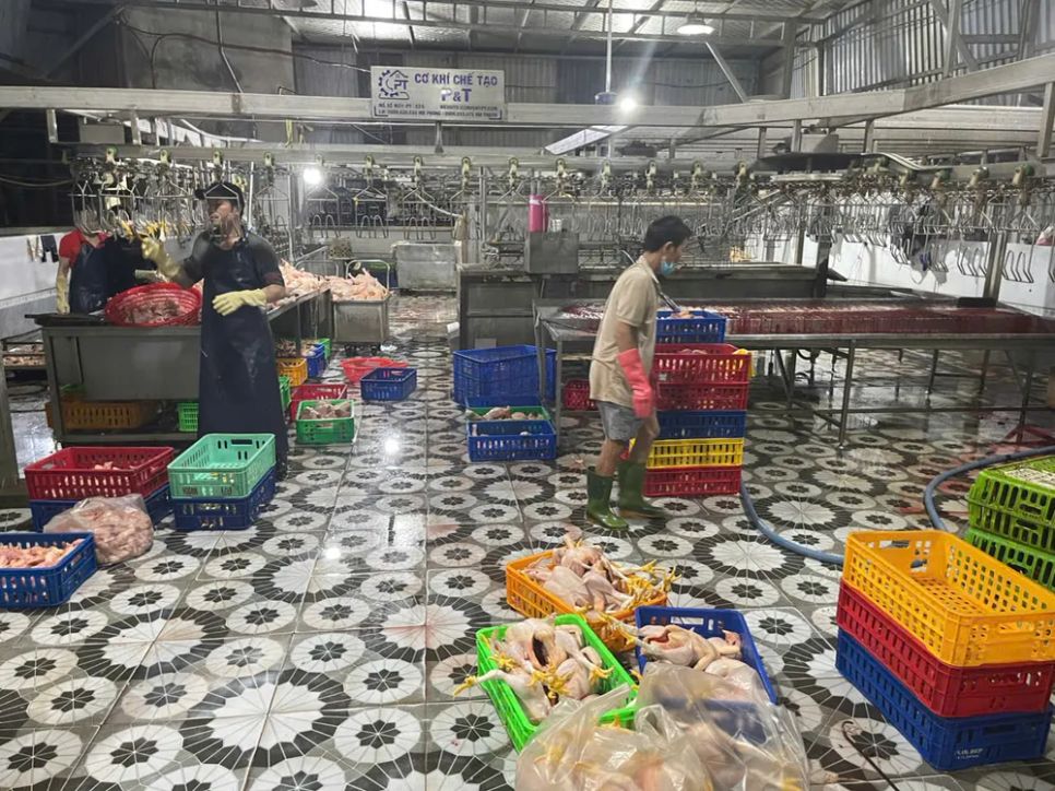 Cơ sở giết mổ gia cầm nằm trong khu dân cư tại phường Tân Đông Hiệp