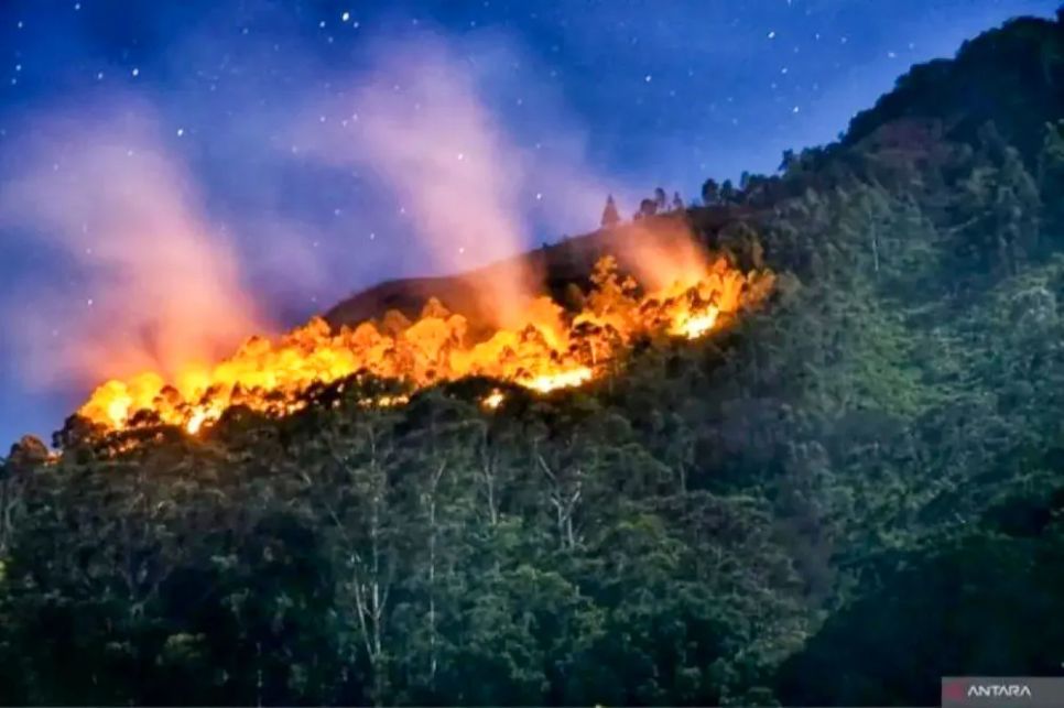 Cháy rừng tại phía Bắc Sumatra, Indonesia. ẢNH: ANTARA Cháy rừng tại phía Bắc Sumatra, Indonesia. ẢNH: ANTARA