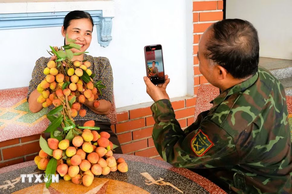 Vải thiều Bắc Ninh hướng tới chinh phục thị trường khó tính