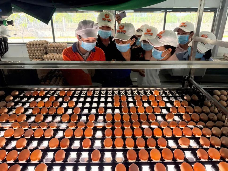 Doanh nghiệp không cần tính phát thải cho toàn bộ nhà máy nếu muốn tăng lợi thế cạnh tranh xuất khẩu vào thị trường châu Âu (Công ty Cổ phần Mebifarm). Ảnh MINH XUÂN