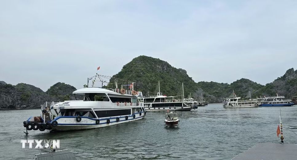 Tàu chờ đón khách tham quan Vịnh Lan Hạ tại Bến tàu khách du lịch Cái Bèo. (Ảnh: Minh Thu/TTXVN)