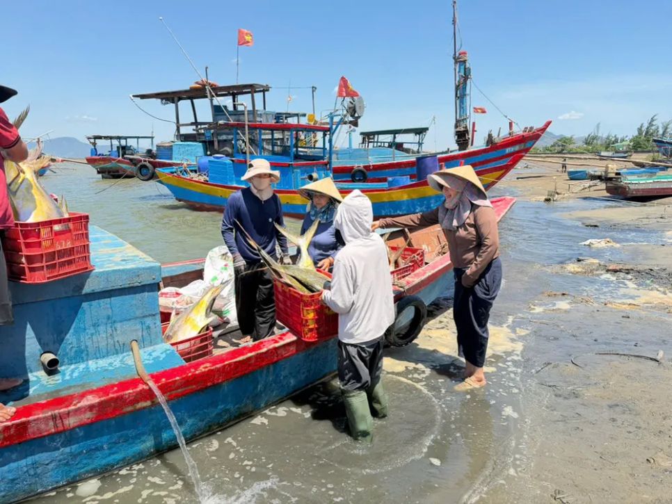 Cá vàng dâng được đưa vào bờ Cá vàng dâng được đưa vào bờ