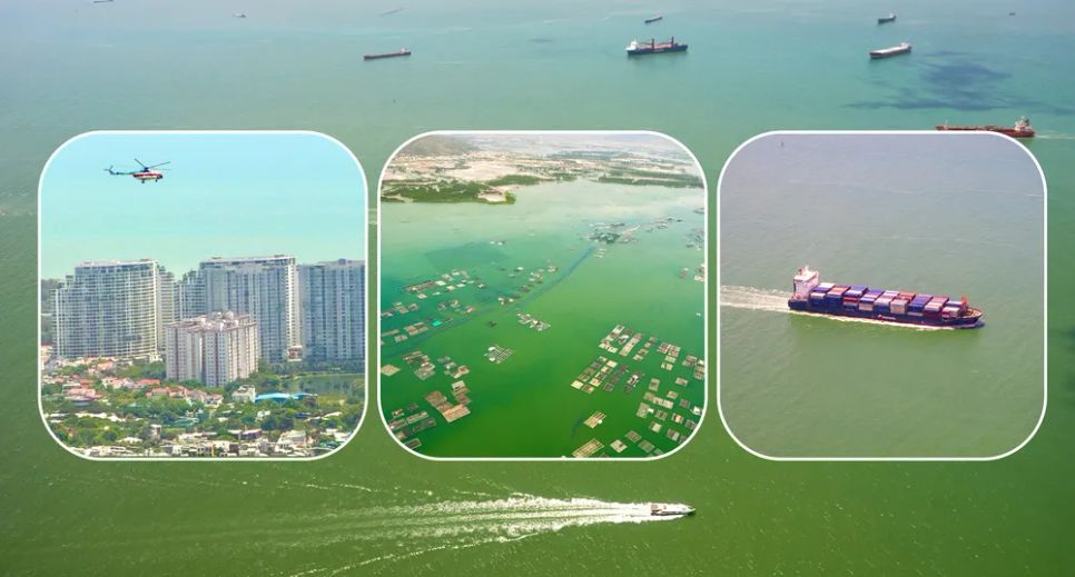Từ máy bay trực thăng ngắm Vũng Tàu. Ảnh: HOÀNG HÙNG