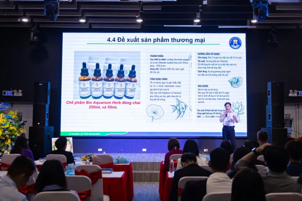 Sinh viên Đoàn Minh Phụng, Trường Đại học Văn Hiến trình bày đề tài “BioAquaHerb: Ứng dụng thảo dược sinh học giải pháp thay thế kháng sinh trong nuôi cá cảnh bền vững” tại Vòng chung kết