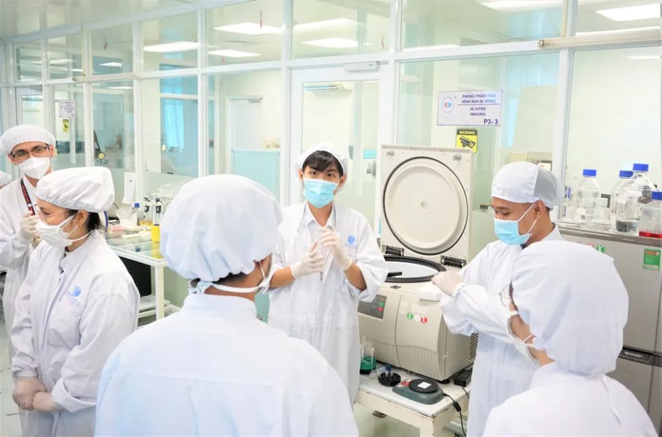 Các chuyên gia làm việc tại Phòng thí nghiệm Tế bào gốc của Trường ĐH Khoa học Tự nhiên (Đại học Quốc gia TPHCM) - Ảnh: THANH HÙNG