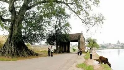 Đến Đường Lâm, tìm cảm giác bình yên