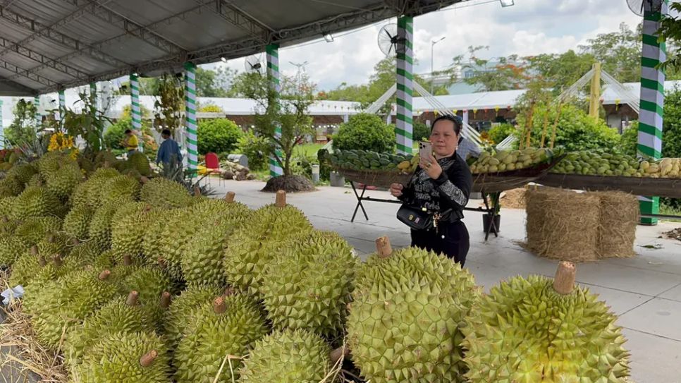 Người dân đến tham quan và chụp ảnh tại lễ hội