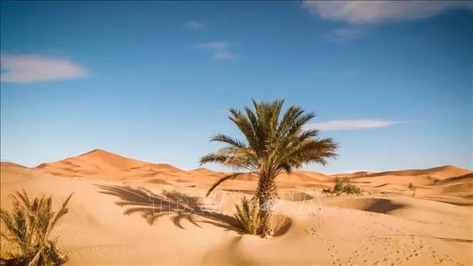 Sa mạc Sahara. Ảnh: TTXVN