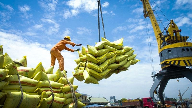 Nửa đầu năm 2026, Việt Nam xuất khẩu khoảng 5 triệu tấn gạo. Ảnh minh họa