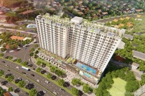Đồng Nai ban hành tiêu chuẩn, điều kiện mua, thuê nhà ở xã hội 
