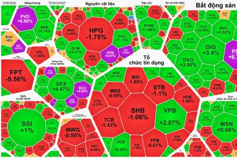 Lực cầu tăng mạnh, VN-Index thiết lập đỉnh lịch sử phiên thứ 3 liên tục