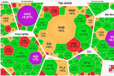 Tiền đổ vào cổ phiếu bất động sản, VN-Index tăng phiên thứ 3 liên tiếp