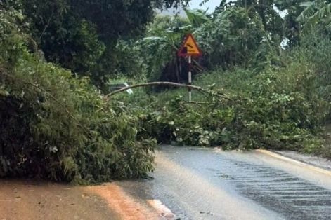 Khánh Hòa: Sạt lở nghiêm trọng trên đèo Ngoạn Mục