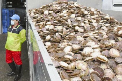 Trung Quốc ngừng nhập khẩu hải sản của Nhật Bản