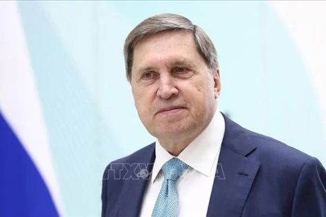 Bước tiến ngoại giao sau cuộc gặp giữa Tổng thống Putin và đặc phái viên Mỹ