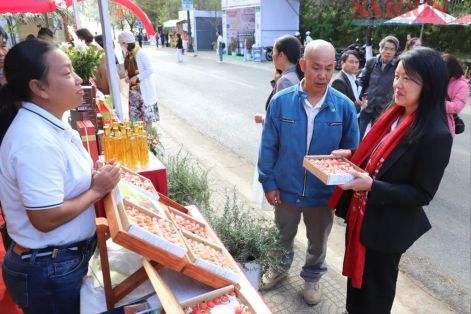 Lễ hội Mai anh đào quảng bá sản phẩm đặc sản Đà Lạt
