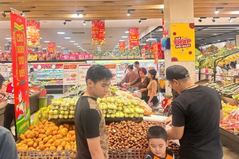 Đồng Tháp, Vĩnh Long tăng cường cung ứng nguồn hàng Tết Bính Ngọ 2026 