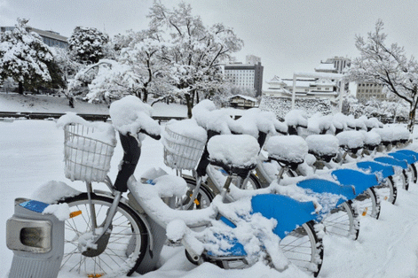 Nhật Bản: Tuyết rơi dày, giao thông tê liệt