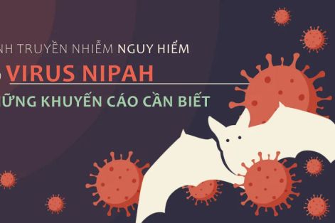 Bệnh truyền nhiễm nguy hiểm do virus Nipah - Những khuyến cáo cần biết