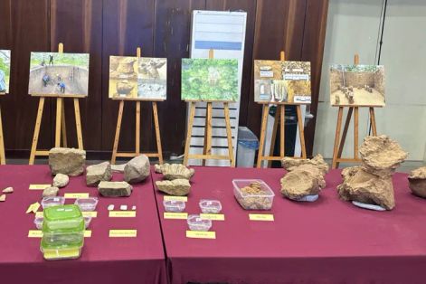 Chiêm ngưỡng Bảo vật quốc gia ở Đắk Lắk