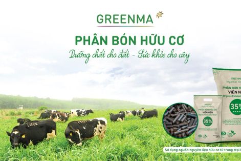 Phân bón hữu cơ Greenma được vinh danh “Nhà cung ứng xuất sắc Việt Nam năm 2025”