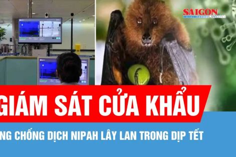 TPHCM: Giám sát cửa khẩu để phòng chống dịch Nipah