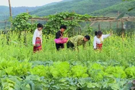 Chăm lo tết cho con nuôi đồn biên phòng