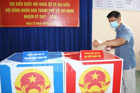 TPHCM thống nhất dùng giấy màu in thẻ cử tri