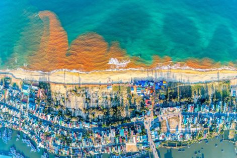 Hiện tượng 'thủy triều đỏ' ở ven biển Tam Quan