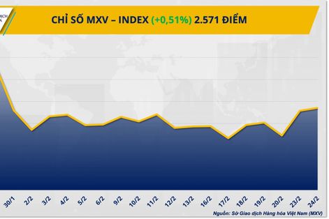 MXV-Index chạm mức cao nhất tháng nhờ lực kéo từ nông sản