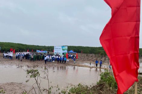 Hàng trăm người trồng cây gây rừng tại vùng đất ngập nước Thái Thụy 
