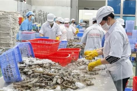 Xuất khẩu thuỷ sản Việt Nam có nguy cơ đứt gãy tại thị trường Trung Đông 