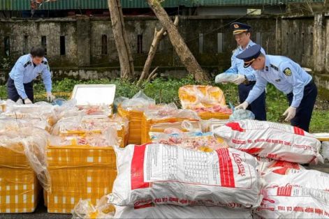 Tiêu hủy hơn 2,6 tấn nội tạng, xương động vật không rõ nguồn gốc