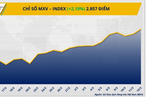 Giá dầu tăng kỷ lục, dòng tiền đổ vào thị trường hàng hóa