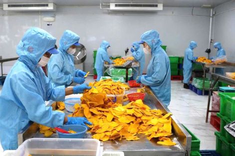 Doanh nghiệp TPHCM dè dặt ký đơn hàng mới do lo ngại chi phí logistics tăng mạnh