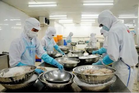 Thủy sản Việt Nam lần đầu mở rộng xuất khẩu tới 97 thị trường