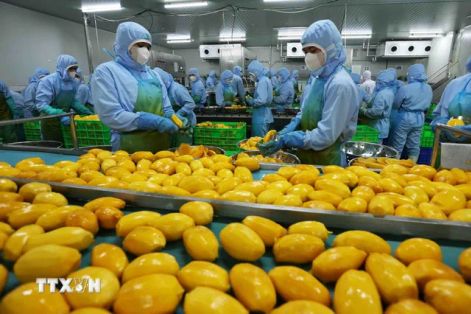 Doanh nghiệp linh hoạt xoay trục giữ thị trường xuất khẩu