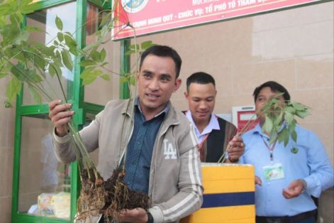 Mở rộng vùng trồng sâm Ngọc Linh lên 10.000ha