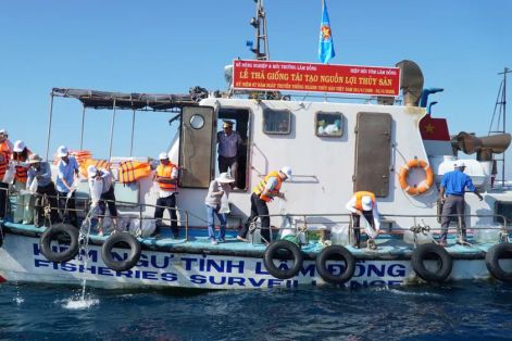 Lâm Đồng: Thả hơn 1,4 triệu con giống tái tạo nguồn lợi thủy sản