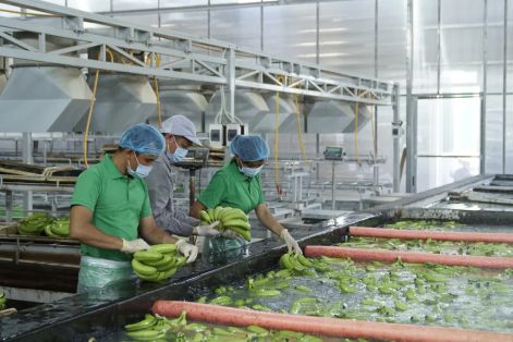 Bài 1: Thể chế mở đường cho nền kinh tế tự chủ 