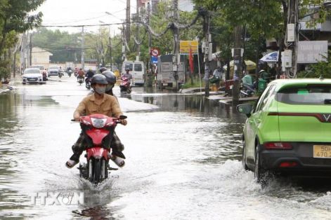 Nam Bộ xuất hiện đợt triều cường mực nước xấp xỉ báo động 3