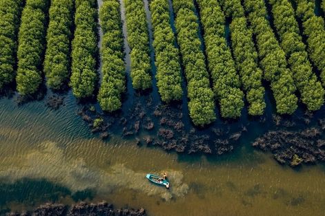 Hoàn thiện khung pháp lý cho trao đổi tín chỉ carbon với quốc tế