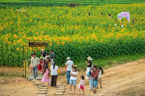 Nông thôn “nở hoa” nhờ du lịch